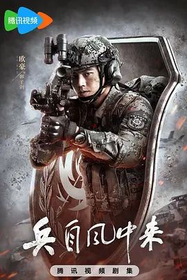 猫咪第一次见到小奶狗的反应，太治愈了 - 九九影院
